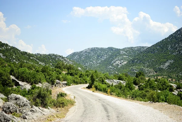 Dağ yolu