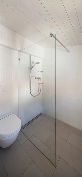 Bathroom, toilet and shower — Stockfoto