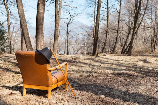 Vintage armchair in forest — Stock Photo, Image