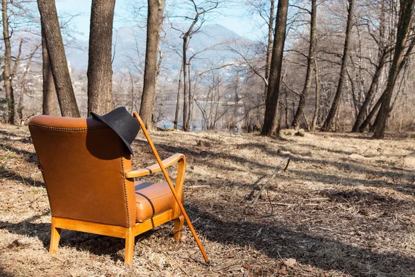 Vintage armchair in forest — Stock Photo, Image