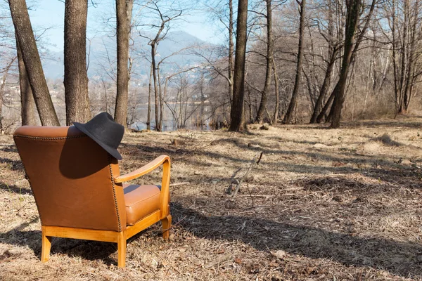 Vintage armchair in forest — Stock Photo, Image