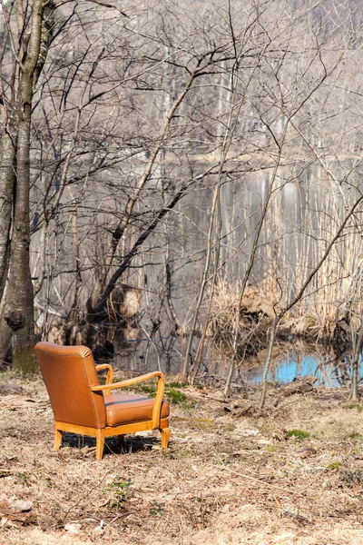 Vintage leather armchair — Stock Photo, Image