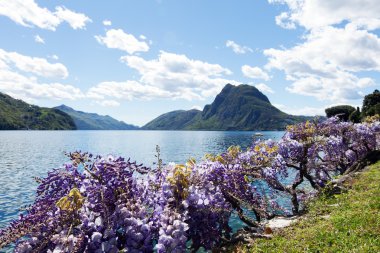 Görünümü Lugano Gölü