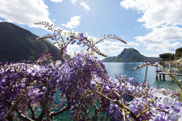 Uitzicht op het meer van Lugano — Stockfoto