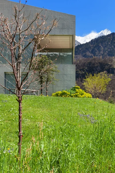 Betonhaus mit Garten — Stockfoto