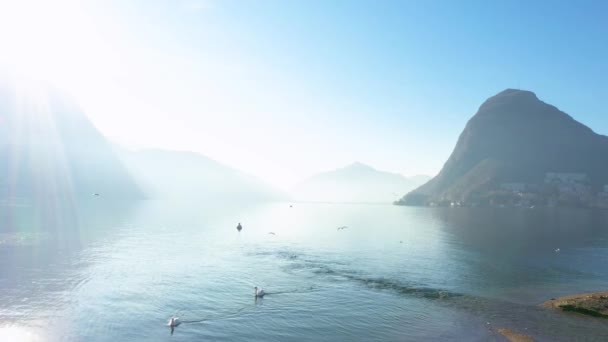 Lugano Gölü Nün Havadan Görünüşü Suda Yüzen Kuğular Mavi Gökyüzünde — Stok video