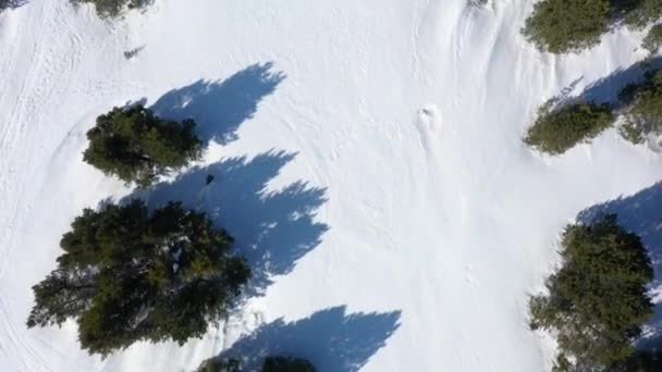 Lidé Sněžnicemi Chodí Sněhu Letecký Pohled Krajinu Švýcarského Lukáše Potokem — Stock video