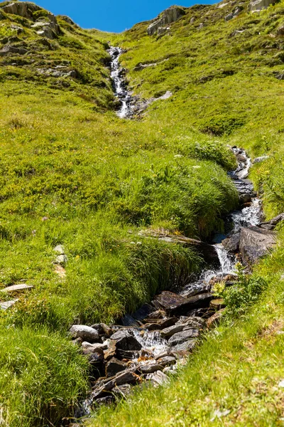Liten Vattenkälla Ängen Schweiziska Alperna Gotthard Passet Kopieringsutrymme — Stockfoto