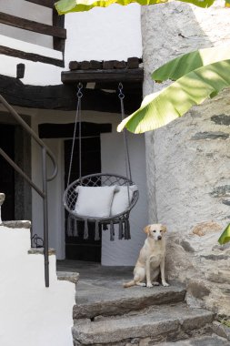 Kapısında güzel bir köpeğin beklediği bir İsviçre evi girişi. Rahat bir sandalye sallanıyor.. 