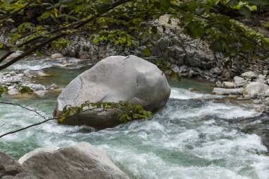 İsviçre Alpleri 'ndeki ormanlarla çevrili deredeki kaya parçaları. İçeride kimse yok.