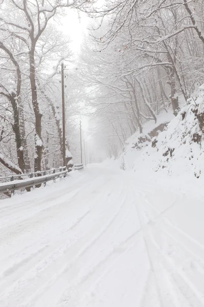 Winter in switzerland — Stock Photo, Image