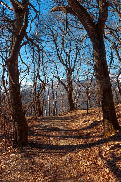 Naturaleza, Suiza —  Fotos de Stock