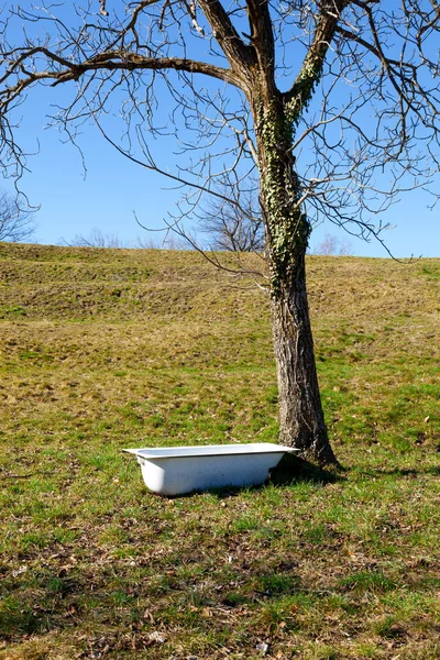 Nature, Switzerland — Stock Photo, Image