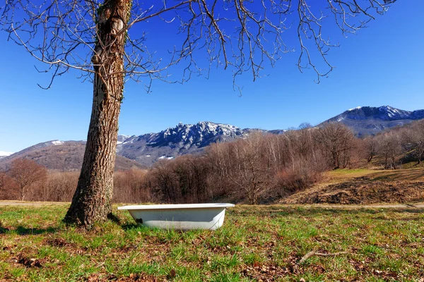 Nature, Switzerland — Stock Photo, Image