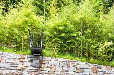 Bambu kamışları ormanı 