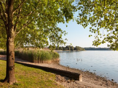 ağaç ve göl manzara