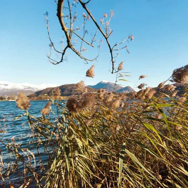 View of Lake Lugano — Stock Photo, Image