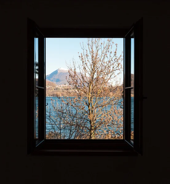 Vue d'un arbre depuis la fenêtre ouverte — Photo