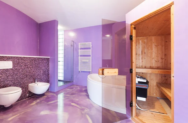 Bello bagno interno — Foto Stock