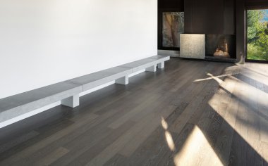 Ev, boş oda ile parke zemin