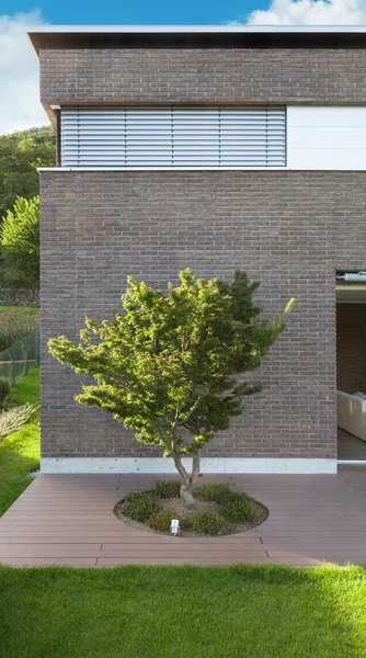 Muur en boom buiten — Stockfoto