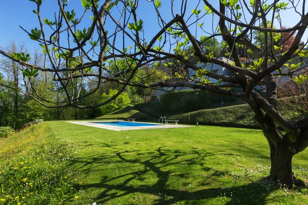 Outside of modern house in summer, swimming pool — Stock Photo, Image