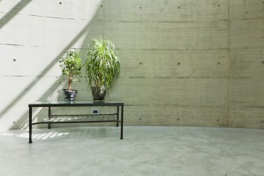 Beton duvar görünümü