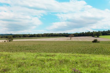 yeşil alan ve bulutların üstünde mavi gökyüzü