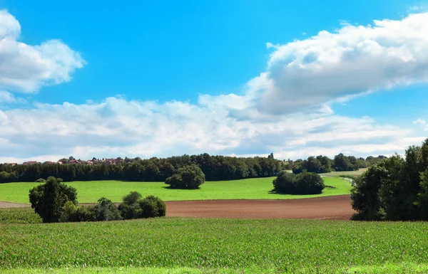 Зелене поле і хмари на блакитному небі — стокове фото