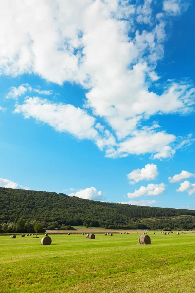 Campo verde e nuvens no céu azul — Fotografia de Stock