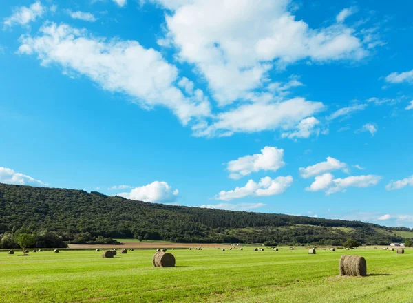 Campo verde e nuvens no céu azul — Fotografia de Stock