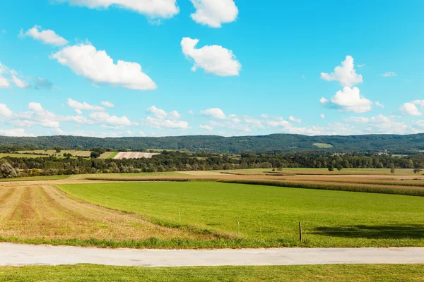 Campo verde e nuvole sul cielo blu — Foto Stock