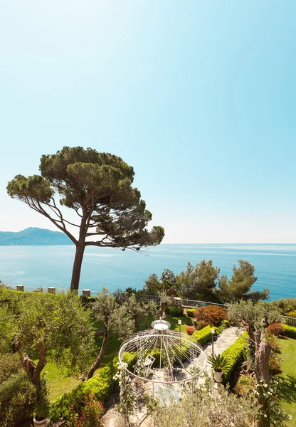 Sea and a garden view — Stock Photo, Image