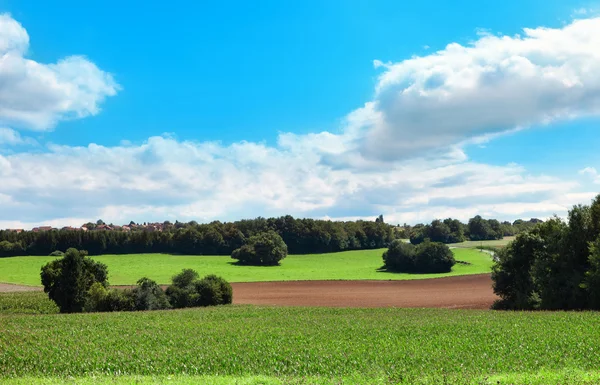 Green field and clouds on blue sky — Stock Image Green field and clouds on blue sky Stock Image