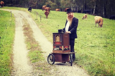 Kızıl saç ve sakal zarif adam onun sepeti organ uğraşırken