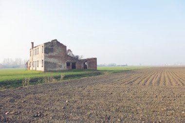 Kırsal delta del po