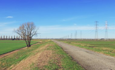 Kırsal delta del Po, İtalya
