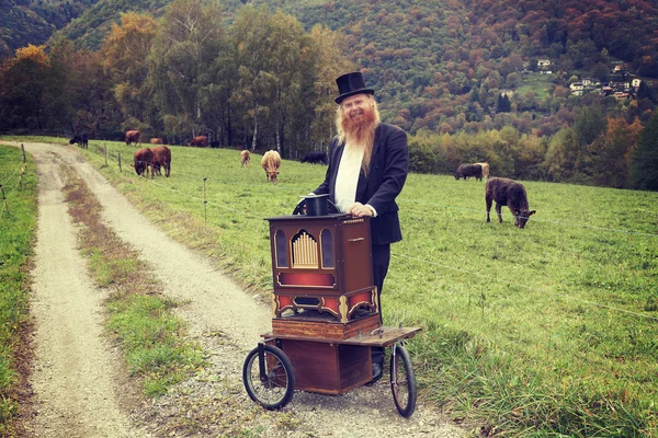 Cabelo vermelho e barba homem elegante tocando seu órgão carrinho ao redor — Fotografia de Stock