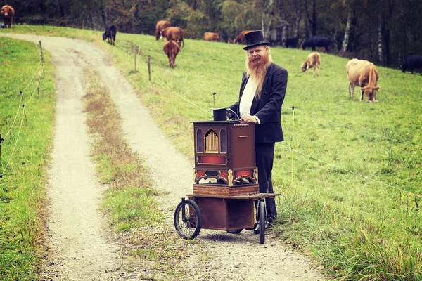 Kızıl saç ve sakal zarif adam onun sepeti organ uğraşırken