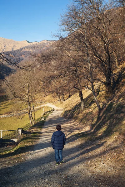 Inverno dia ensolarado vida selvagem viagem ao ar livre — Fotografia de Stock