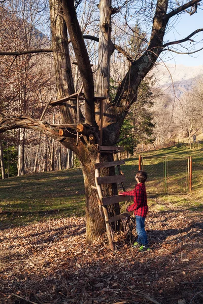 Kış güneşli bir gün evlat — Stok fotoğraf