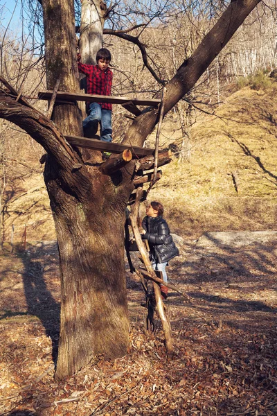 Invierno día soleado vida silvestre viaje al aire libre — Foto de Stock