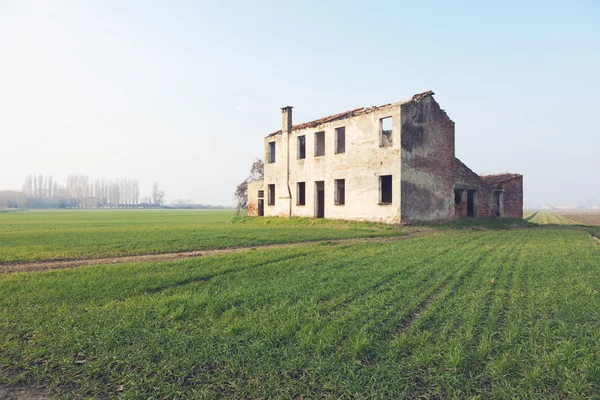 Campo típico italiano del delta del po — Foto de Stock