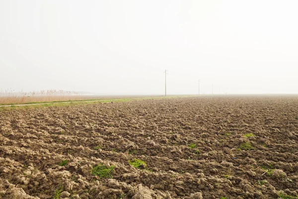 Zemědělství holé, Delta de Po — Stock fotografie