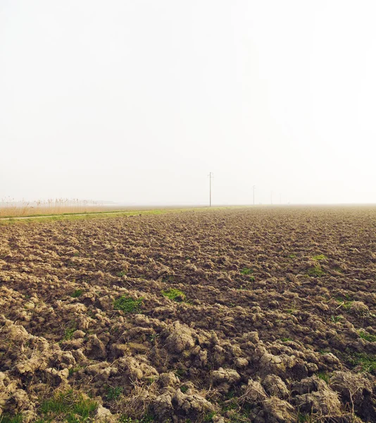 Zemědělství holé, Delta de Po, Itálie — Stock fotografie