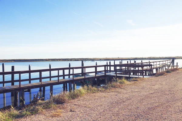 Countryside of the delta del po — Stock Photo, Image