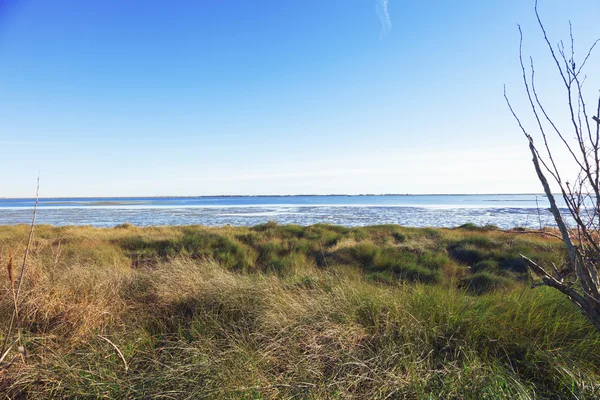 Ύπαιθρο του η delta del po, Ιταλία — Φωτογραφία Αρχείου