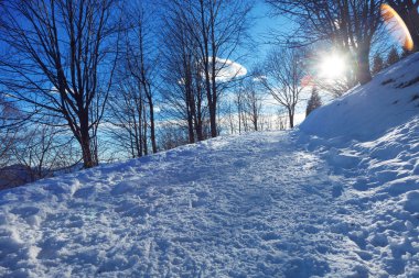 Kış İsviçre dağ manzarası