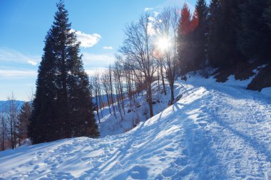 Kış İsviçre dağ manzarası