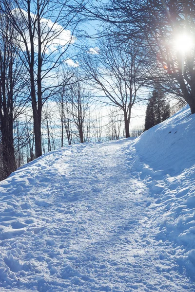 Paysage alpin hivernal en Suisse — Photo